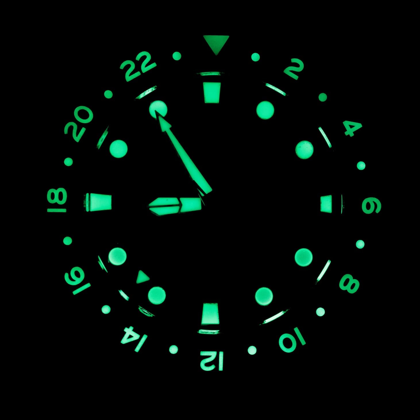 Le Jour - Hammerhead GMT Dive Watch I Swiss Made I Automatic - Le
